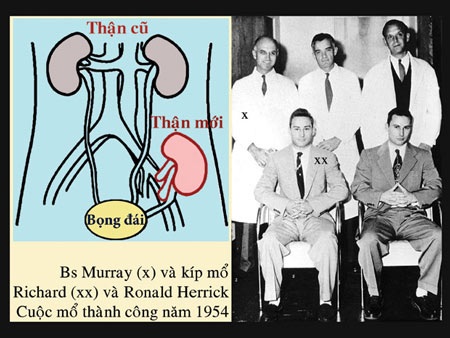 Một giải Nobel hai cống hiến - 2 Một giải Nobel hai cống hiến