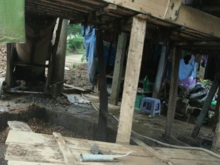 Nơi xay bột dong để làm miến chỉ cách cầu tiêu tự hoại chưa đầy 1m