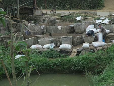 Nước để lọc bột dong được lấy lên từ chiếc ao tù ngay cạnh mặt đường