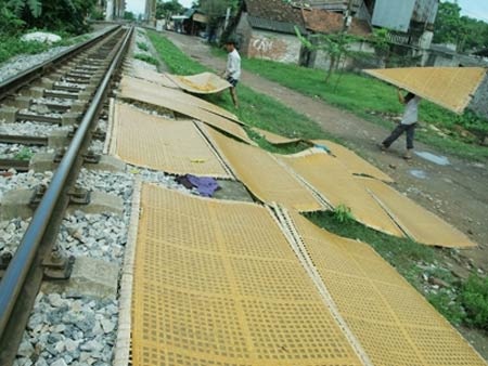 Nước để lọc bột dong được lấy lên từ chiếc ao tù ngay cạnh mặt đường