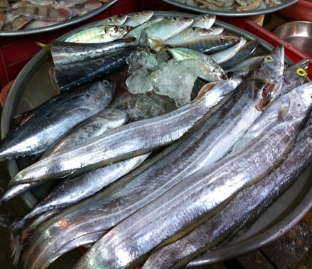 Ăn cá biển dễ ngộ độc vì đông lạnh chưa tới