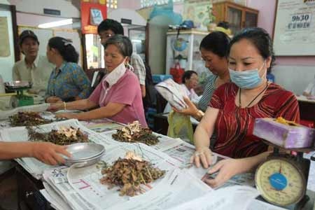 Y học cổ truyền vừa thiếu vừa yếu - 1 Nền y học của dân tộc chưa được đầu tư đúng mức (ảnh: minh họa)
