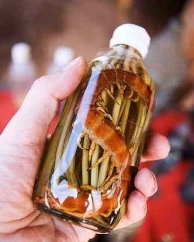 Rượu bổ dương: Ông uống, bà khóc ròng - 1 Rượu bổ dương: Ông uống, bà khóc ròng