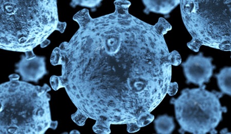 Một bé 2 tuổi “khỏi” bệnh HIV nhờ điều trị sớm - 1 Virus HIV tấn công hệ miễn dịch