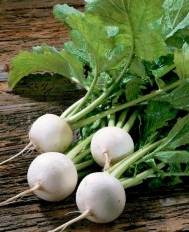 Củ cải trắng+hành