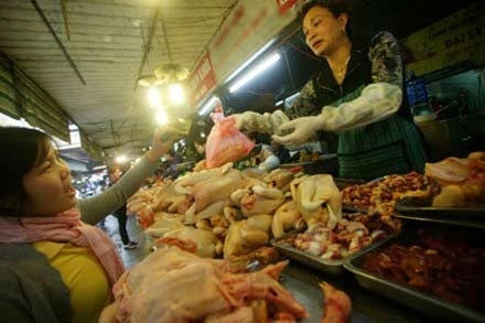 Gà thải loại nhập lậu ngập trong kháng sinh và vi rút H5N1 - 1 Mua bán gà làm sẵn tại Chợ Hôm - Đức Viên (Hà Nội). Ảnh chụp lúc 10h30 ngày 31.1.2013. Ảnh: Kỳ Anh