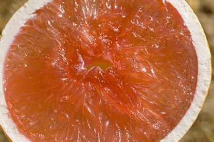 Những thực phẩm đơn giản chống ung thư gan