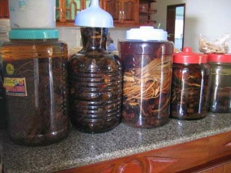 “Dược tửu” và những cú lừa ngoạn mục - 1 Ở Việt