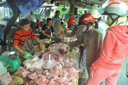 Quảng Trị công bố hết dịch heo tai xanh