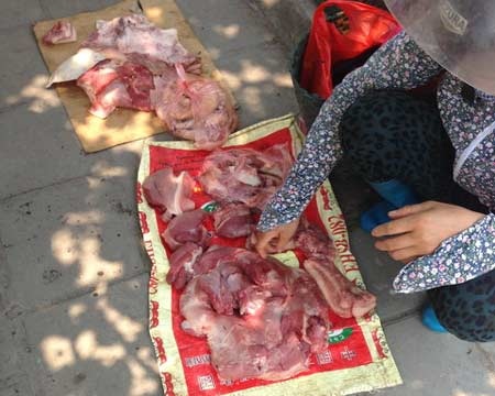 Những tảng thịt đã đổi màu cùng ruồi bọ bu quanh (Ảnh: Nguyễn Lê)