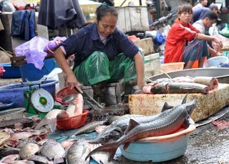 Thịt bẩn, thủy sản lậu “náo loạn” Hà Nội - 2 Thịt bẩn, thủy sản lậu “náo loạn” Hà Nội