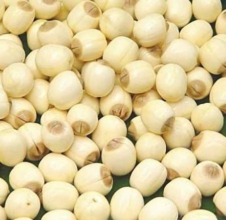 Những loại quả, hạt phòng chống ung thư - 1 Những loại quả phòng chống ung thư