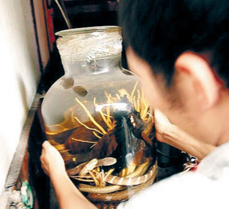 Ai được uống rượu bổ dương? - 1 ThS.BS Hoàng Khánh Toàn, Chủ nhiệm Khoa Y học Cổ truyền, Bệnh viện T.Ư Quân đội 108 trả lời: