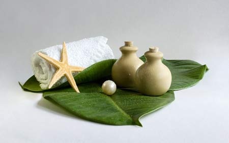 Homesteam: Giúp bạn thành Chuyên gia chăm sóc gia đình!!! - 2 Homesteam: Giúp bạn thành Chuyên gia chăm sóc gia đình!!!