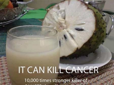 “Mãng cầu xiêm chữa ung thư?”: Chưa có báo cáo thuyết phục - 1 “Mãng cầu xiêm chữa ung thư?”: Chưa có báo cáo thuyết phục