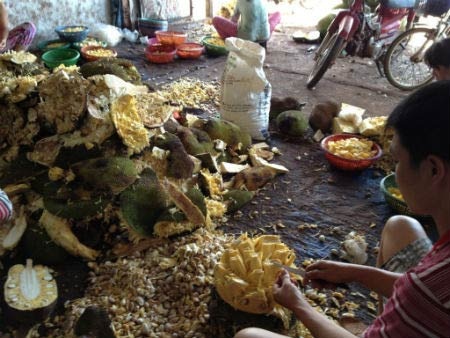 Hãi hùng công nghệ “ép” mít chín bằng hóa chất - 1 Cận cảnh nơi chế biến mít, ruồi nhặng bu đầy, đồ đạc vứt bừa bãi dưới đất.