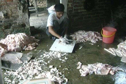 Mầm bệnh từ mỡ bẩn - 4 Chế biến mỡ bẩn