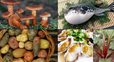 Những loại thực phẩm "chết người" - 1 1. Những thực phẩm gây dị ứng