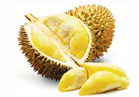 Có nên ăn nhiều sầu riêng? - 1 Lương y Đinh Công Bảy - Hội Dược liệu TP.HCM tư vấn: