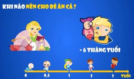 Infographic Video: Quảng cáo dầu cá hay vì sức khoẻ cộng đồng? - 2 Hình ảnh trong Infographic Video: “Bạn đã ăn cá đúng cách?”