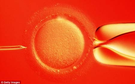 Những nguy cơ tiềm ẩn trong điều trị vô sinh nam - 1 Những nguy cơ tiềm ẩn trong điều trị vô sinh nam