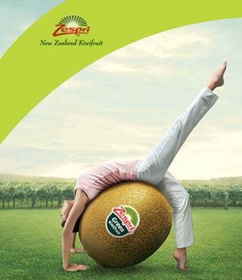 Kiwi - Trái cây giàu chất chống ôxy hóa tự nhiên - 2 Kiwi - Trái cây giàu chất chống ôxy hóa tự nhiên