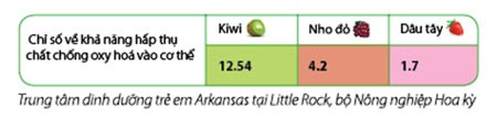 Kiwi - Trái cây giàu chất chống ôxy hóa tự nhiên - 3 Kiwi - Trái cây giàu chất chống ôxy hóa tự nhiên