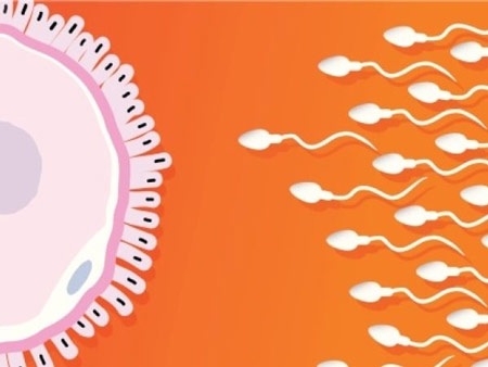 Những nguy cơ gây vô sinh nam giới ít biết - 1 Những nguy cơ gây vô sinh nam giới ít biết