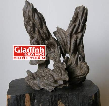 Tinh dầu trầm làm tăng “bản lĩnh đàn ông”: Chỉ là đồn thổi! - 1 Tinh dầu trầm để tăng “bản lĩnh đàn ông”