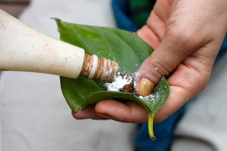 Nỗi lo ung thư do ăn trầu - 1 Nỗi lo ung thư do ăn trầu