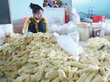 Phát hiện 70 tấn măng tươi ngâm hóa chất - 2 Măng ngâm hóa chất bị thu giữ tại Châu Thành - Tây Ninh. Ảnh: A.N