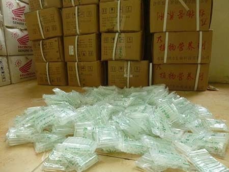 Thuốc “kích” giá đỗ: Không có gì đáng lo? - 1 Thuốc “kích” giá đỗ: “Không có gì đáng lo!”