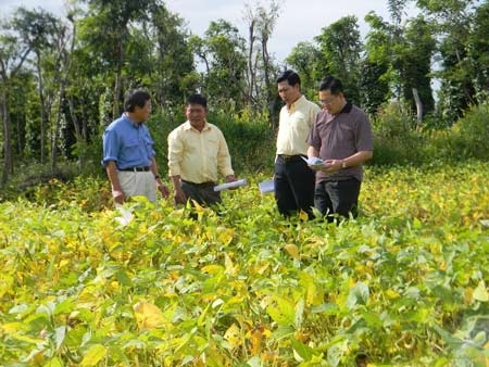 Giấc mơ phát triển giá trị hạt đậu nành Việt Nam - 2 Giấc mơ phát triển giá trị hạt đậu nành Việt Nam