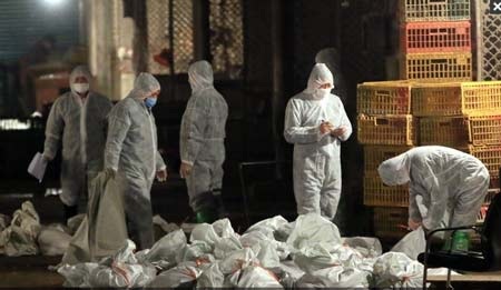 Một bác sĩ tử vong do cúm H7N9 - 1 Một bác sĩ tử vong do cúm H7N9