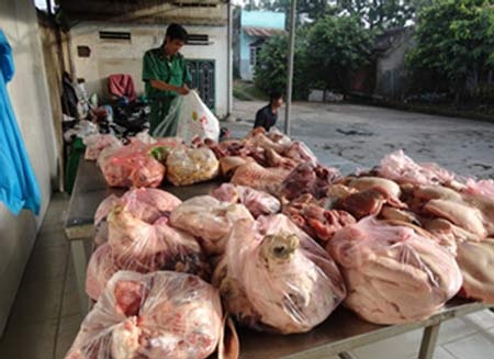 Hầu hết thịt được vận chuyển trái phép vào TPHCM đều không qua kiểm dịch