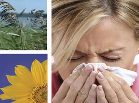 Stress thế này, không dị ứng mới lạ