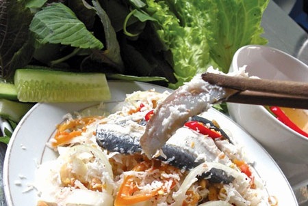 Nỗi buồn gỏi cá - 1 Nỗi buồn gỏi cá