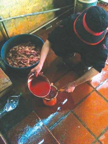 Những quán vịt nướng, tiết canh ở Vân Đình, Hà Nội vẫn đắt
khách trong mùa dịch cúm.