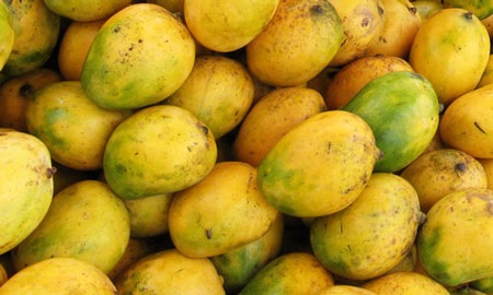 10 lợi ích thú vị của quả xoài - 1 Giảm nguy cơ ung thư