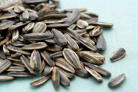 Ăn hạt hướng dương, bé 13 tháng tắc đường thở - 1 Các loại hạt này tiềm ẩn nguy cơ gây ngạt đường thở ở trẻ nhỏ.
