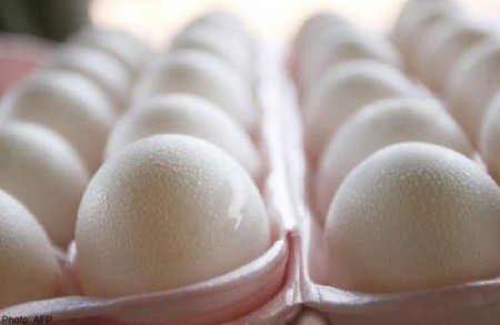 Gà thả vườn dễ nhiễm khuẩn tiêu chảy - 1 Gà thả vườn dễ nhiễm khuẩn tiêu chảy
