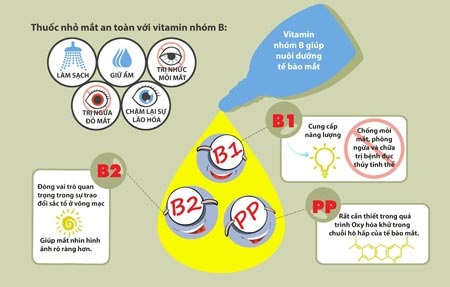 Bổ sung vitamin B cho mắt khỏe mỗi ngày - 1 Các Vitamin nhóm B giúp nuôi dưỡng tế bào mắt