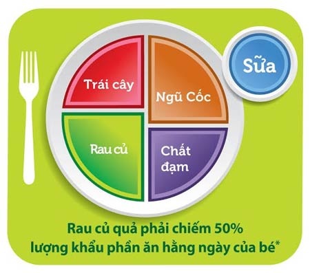 Đừng coi nhẹ việc bổ sung dưỡng chất từ rau củ quả cho trẻ - 2 Mô hình My Plate áp dụng cho bé trên 2 tuổi
