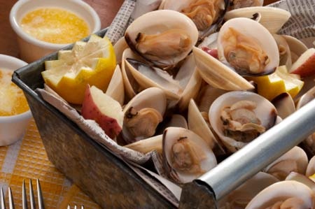 9. Động vật có vỏ
