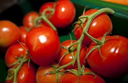 Cà chua giúp tăng chất lượng tinh binh - 1 Chất lycopen có trong cà chua có thể làm tăng 70% số lượng tinh trùng