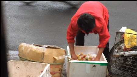 Thương lái tập trung tại đây để làm sạch đào bằng nước xà phòng