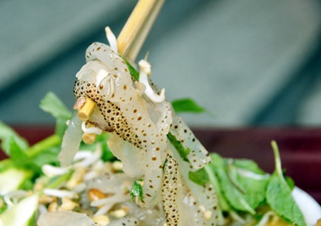 Sứa biển: Ngon nhưng phải đề phòng