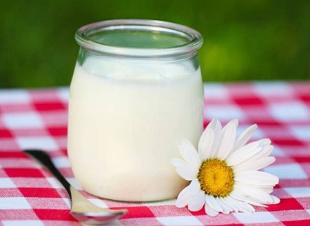 Sữa chua và những điều bạn chưa biết - 1 Sữa chua và những điều bạn chưa biết