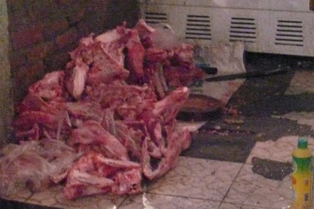 Kinh hoàng xem các công đoạn làm giò chả - 1 Những tảng thịt nằm chồng chất dưới nền nhà cáu bẩn.