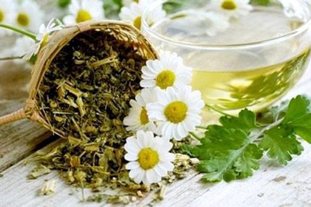 Lựa chọn thức uống vàng cho lá gan! - 1 Nhân trần